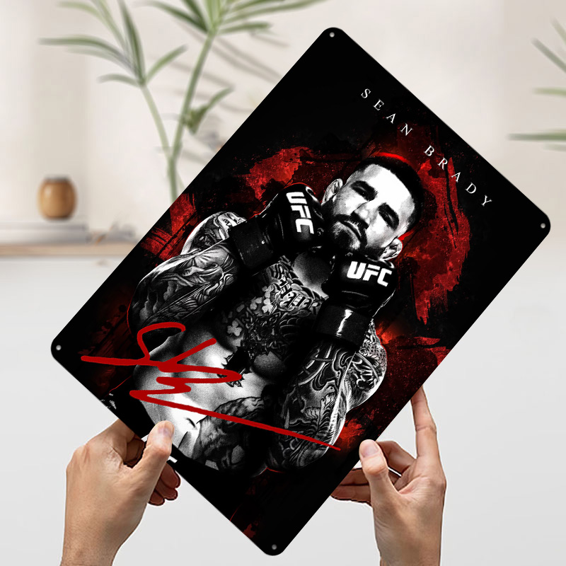 Sean Brady Fighter Portrait Ti - Retro Poster Gaming recension och pris